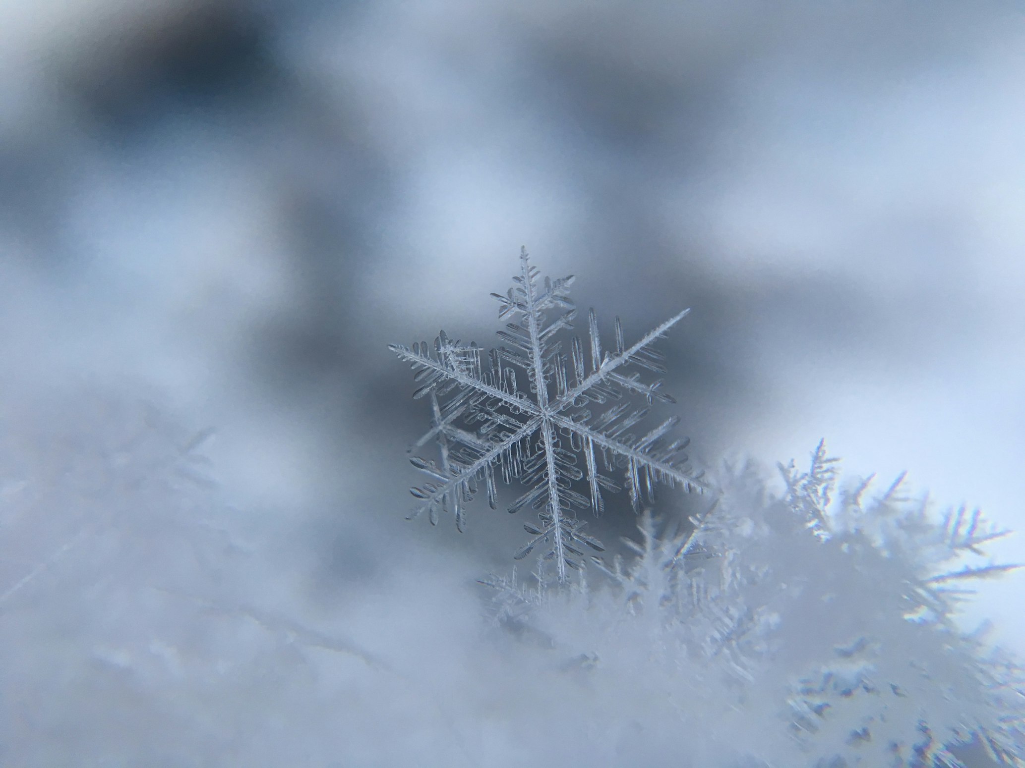 Winterdienste